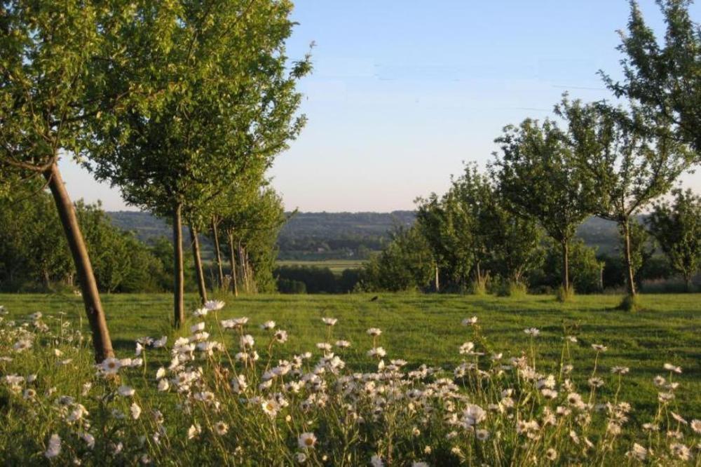 Le Mont D'Auge Bed and Breakfast Canapville  Exterior foto